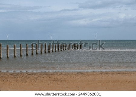 Posts of beach groyne running out to sea at Blyth beach, Northumberland, North East England