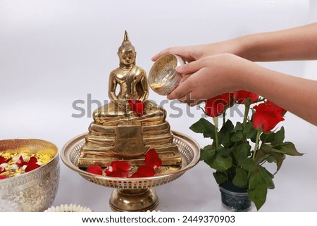  Young girl hand pours water pray to respect Buddha image on Songkran festival, Thailand