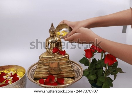  Young girl hand pours water pray to respect Buddha image on Songkran festival, Thailand