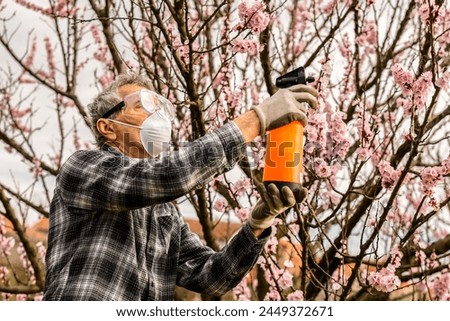 Spraying Fruit Tree with Organic Pesticide or Insecticide in Spring. Spraying Trees against Fungus Infection.  Royalty-Free Stock Photo #2449372671