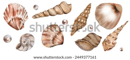 Set Seashells. Shells and Pearls. restrained colors. Watercolor illustration. For fabrics, textiles, wallpapers, beachwear, summer accessories, design elements, travel agency logos. white background