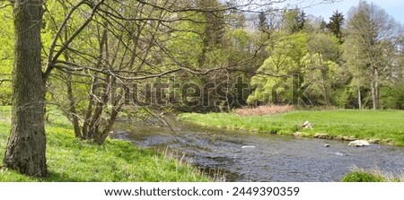 Spring nature and river Bóbr in Rudawy Janowickie Mountains, Poland; green nature, floating river,, some trees, blue sky.