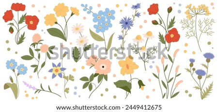 Wild flowers vector collection. Set of decorative floral design elements. Herbs, flowering plants. Botanical vector illustration