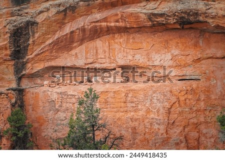This close-up captures the incredible detail and vibrant color of an ancient cliff dwelling carved into a red rock cliff, highlighting the ingenuity of past cultures Royalty-Free Stock Photo #2449418435