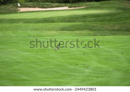 golf course landscape during Autumn