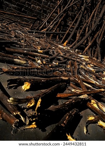 wood sticks lay on the earth beautiful picture 
