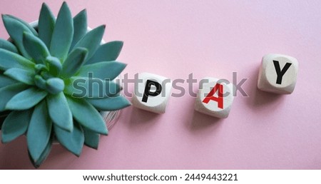 Pay symbol. Wooden cubes with words Pay. Beautiful pink background with succulent plant. Business and Pay concept. Copy space.