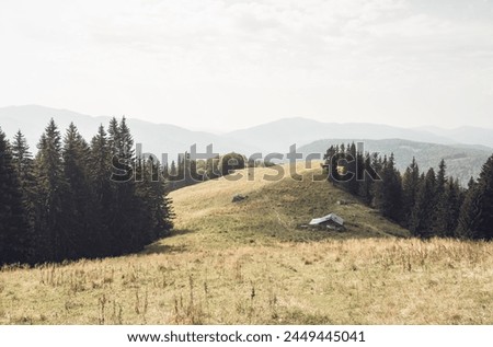 Abandoned sheepfold on the way to Ciucas peak in Carpathian Mountains, Romania. Royalty-Free Stock Photo #2449445041