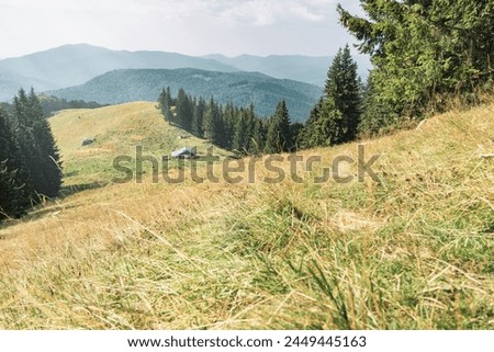 Abandoned sheepfold on the way to Ciucas peak in Carpathian Mountains, Romania. Royalty-Free Stock Photo #2449445163
