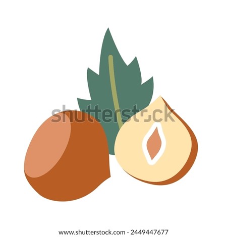 Hazelnut peeled whole, chopped into halves and green hazel leaves, cartoon style. Vector illustration isolated on white background, hand drawn, flat design