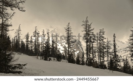 Picture of landscape in High Tatras during winter, Slovakia