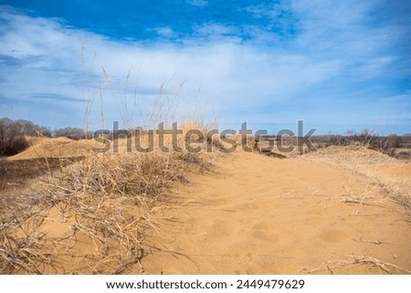 Sand dunes at Douglas Provincial Park, Saskatchewan