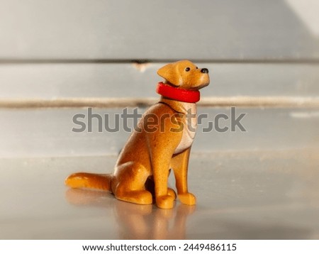 Obedient sitting dog sits on a metal surface