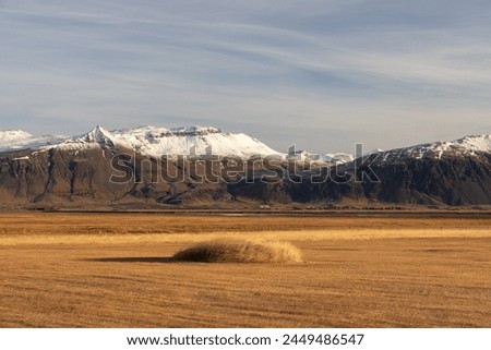 A peculiar tussock on farmland in the south-east of Iceland - right by Höfn in Hornafjörður. This is probably a cursed spot which farmers do not dare to cut the grass off.  Royalty-Free Stock Photo #2449486547