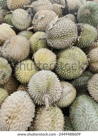 Durian is called King Fruit that has strong smell Royalty-Free Stock Photo #2449488609