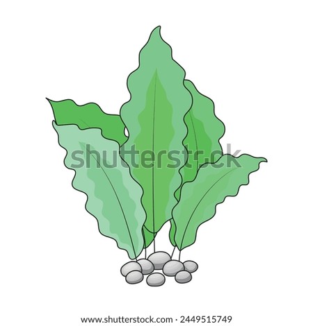 Green water plants with gray pebbles