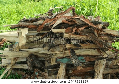 pile of firewood on the green grass
