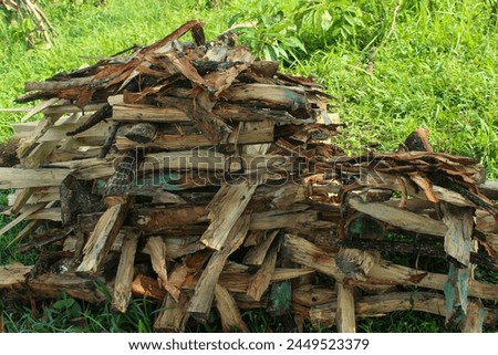 pile of firewood on the green grass