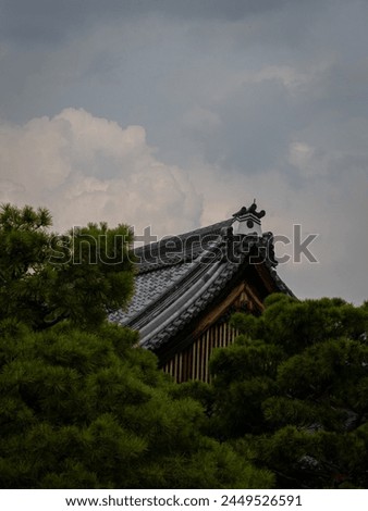 beautiful roofs of the Nijo-jo houses