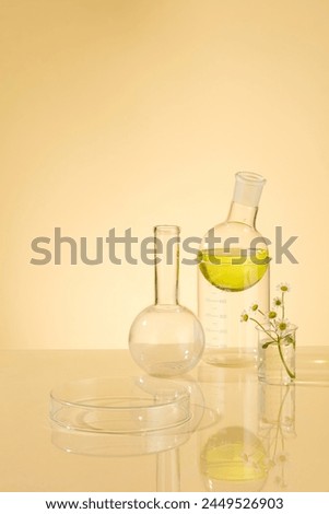 Front view of laboratory equipment filled with Chamomile fluid in a boiling flask in yellow background. For present organic, cosmetic, medicine products