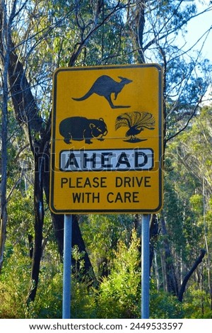 A sign posted for animal protection at Mt I rvine in the Blue Mountains of Australia.