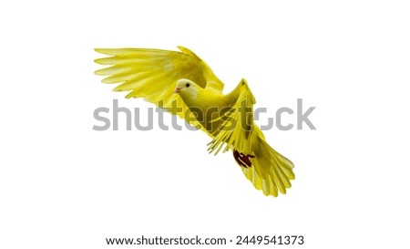 Flying Yellow dove in white background, only dove picture remove background. 