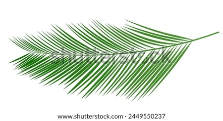 palm leaf summer green icon