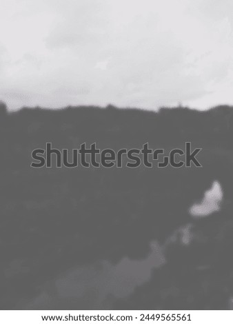 Aworld without color. Black and white photo of natural scenery of mangrove forests in tidal waters. Blurry background of swamp in tidal waters for wallpaper, banner and poster.