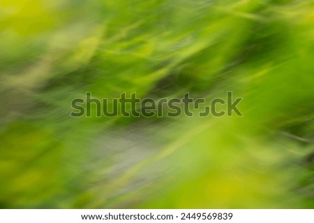 Blurred, natural, green abstract background.