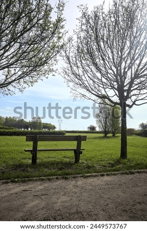 Wooden bench under trees by the edge of a path in a park in the italian countryside