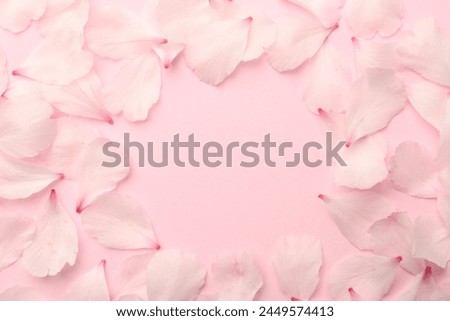 Frame of beautiful spring blossoms petals on pink background, flat lay. Space for text