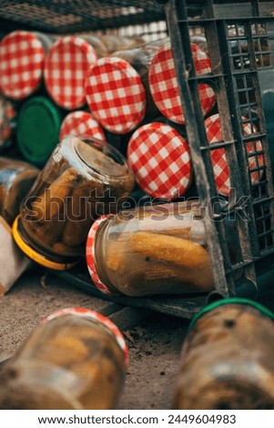 Expired homemade pickled cucumbers in jar thrown away, selective focus Royalty-Free Stock Photo #2449604983