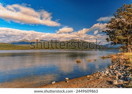 Lake Te Anau, Te Anau, South Island, New Zealand Royalty-Free Stock Photo #2449609863