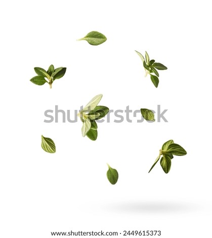 Fresh green thyme herb falling in the air isolates on white background Royalty-Free Stock Photo #2449615373