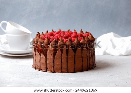 Whole chocolate truffle cake with fresh ripe raspberries on top on grey background. Side view.