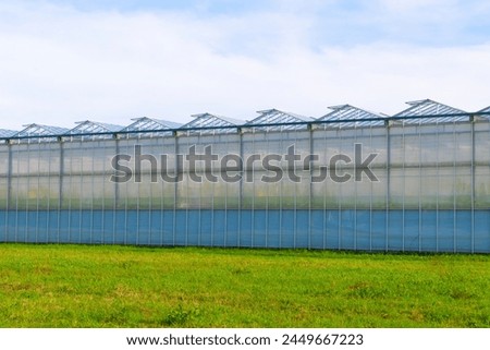 Greenhouse under a blue sky. Cultivation of plant crops. glasshouse, hothouse. Royalty-Free Stock Photo #2449667223