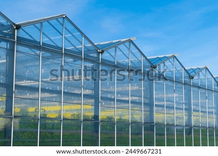 Greenhouse under a blue sky. Cultivation of plant crops. glasshouse, hothouse. Royalty-Free Stock Photo #2449667231