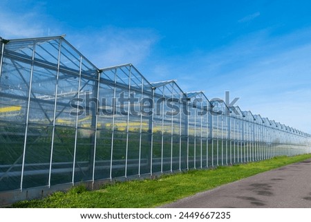 Greenhouse under a blue sky. Cultivation of plant crops. glasshouse, hothouse. Royalty-Free Stock Photo #2449667235