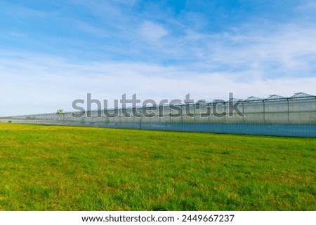Greenhouse under a blue sky. Cultivation of plant crops. glasshouse, hothouse. Royalty-Free Stock Photo #2449667237