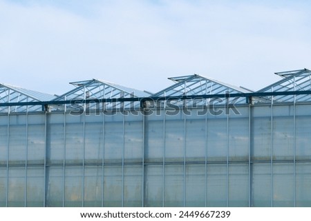 Greenhouse under a blue sky. Cultivation of plant crops. glasshouse, hothouse. Royalty-Free Stock Photo #2449667239