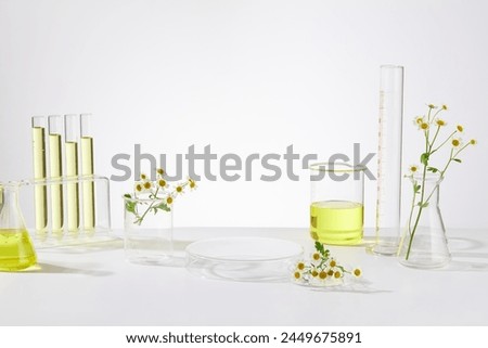 Laboratory experiment with daisy flower extract for advertising about natural beauty or organic skincare product. Daisy’s extract often used to brighten skin and prevent hyperpigmentation