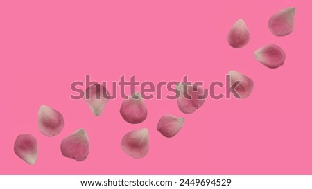 Falling rose petals on a pink background.