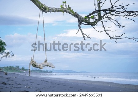 swing made of dry wood on the beach