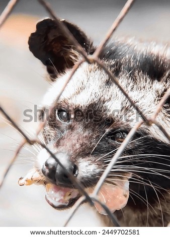 a photography of a raccoon looking through a fence with its mouth open.