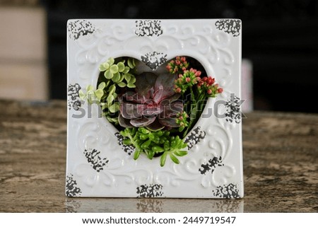 A white picture frame with a heart shape cut out. Different succulent plants are in there with the leaves and flowers sticking out.