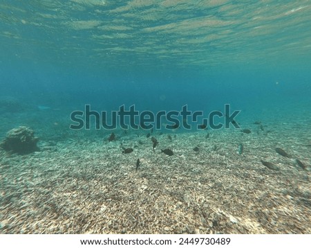 This is the picture taken underwater.