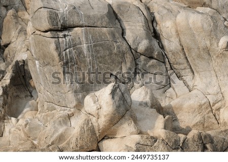 A bird sitting on white marble rocks in Bhedaghat. Picture taken date and Time 05 September 11 00 am at Jabalpur Madhya Pradesh India Royalty-Free Stock Photo #2449735137