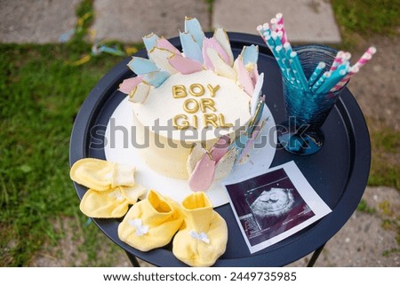 Table with deror Baby shower Celebration. Pink, Blue cake Gender reveal