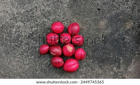 "Photo of red dragon fruit with a natural stone background."