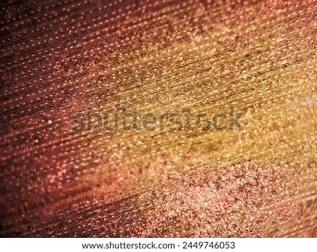 Super Macro photography of a rotten leaf which is shot with microscopic lens